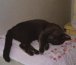 Baby sleeping on the quilt