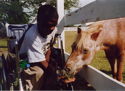 boy and pony