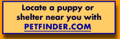 PetFinder.com