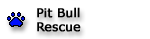 Pit Bull Rescue