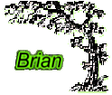 Brian Tree