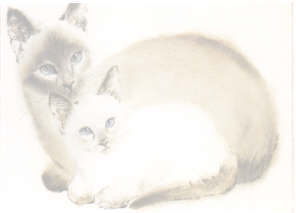 siamese.jpg (4827 bytes)