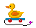 duck