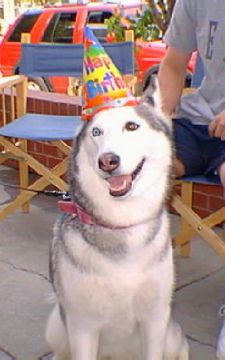 Ketah in her birthday hat