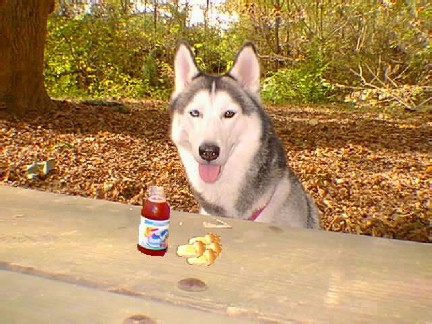 Picnic lunch