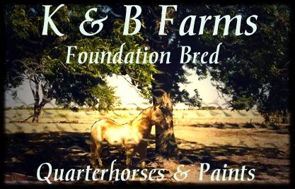 K & B Farms