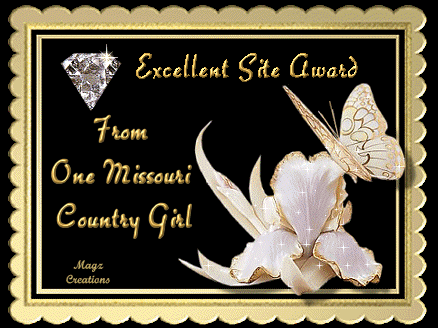 Excellent Site Award 1