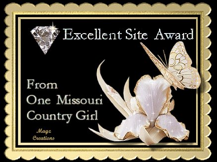 Excellent Site Award 3