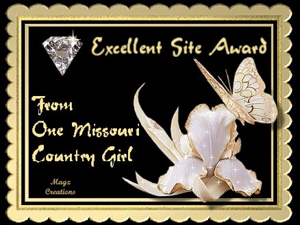 Excellent Site Award 4