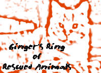 Join Ginger's Ring Of Rescued Animals