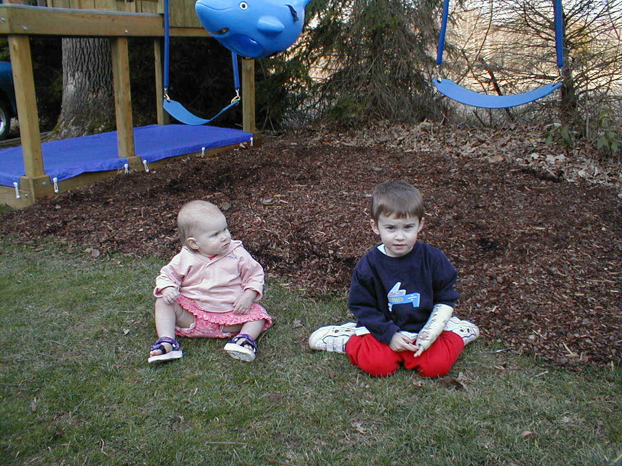 kayswingset.jpg (216260 bytes)