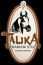 Talika Arabian Stud - business card