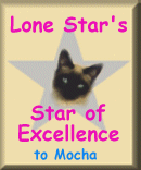 Lone Star's Star of Excellence Award.