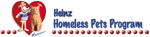 Homeless Pets Program