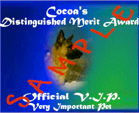 Win Cocoa's Award!