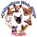 Main Chihuhaua Ring