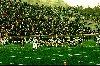 MU vs. Baylor 1997