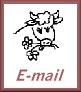 e-mail button