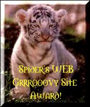 Spider's Web Grrrooovy Site Award