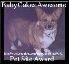 baby cakes award