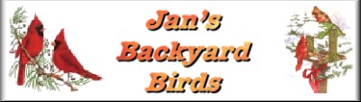 info on Backyard 
Birds