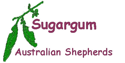 Sugargum logo