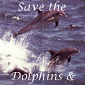 Save
the Dolphin & Whale Webring