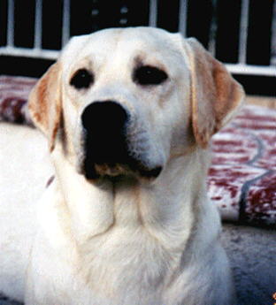 HRUDEY AT 9 MONTHS