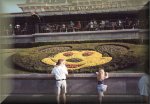 Flowers outside of the Magic Kingdom