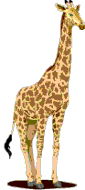 /user/giraffe2.gif