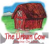 urban cow