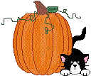 pumpkinnn.bmp (41142 bytes)