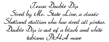 Texas Double Dip info