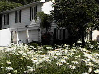 Our House viewed over the Daisy Patch