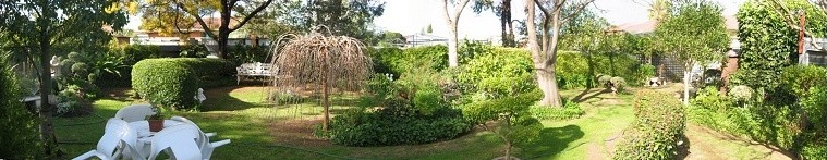 Garden6