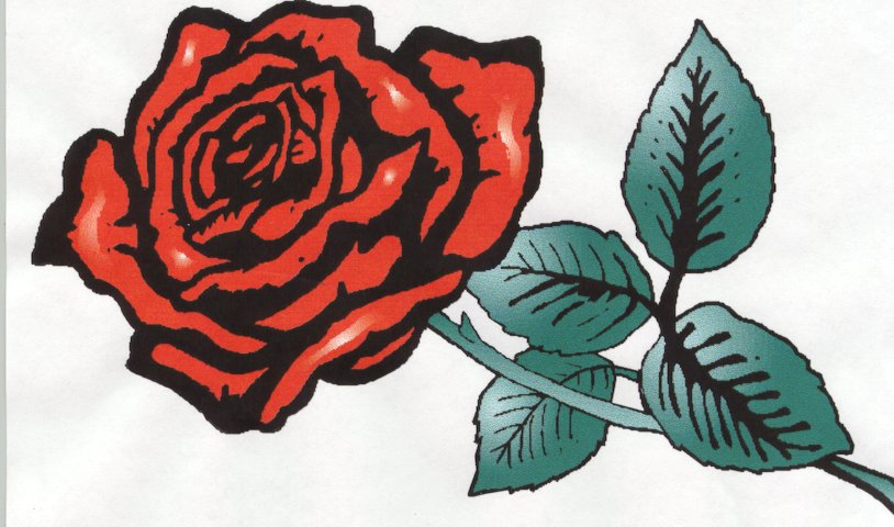 rose.jpg (80704 bytes)