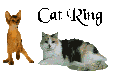 catring1