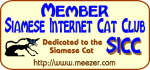 siamese internet cat club