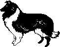 Collie.wmf (6844 bytes)