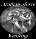 The Legendary Arabian Breed Webring