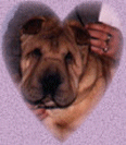 Image of mollyheart.gif