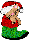 xmas cat