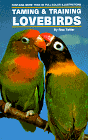 Taming and Training Lovebirds