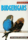 Starting With Budgerigars