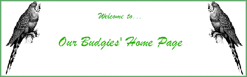 Welcome to our Budgies' Home page!