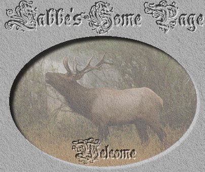  Labbe's Home Page Elk Welcome Picture