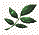 Leaf - 1.4 K