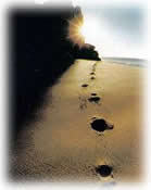 Footprints