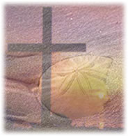 Sand Dollar and Cross