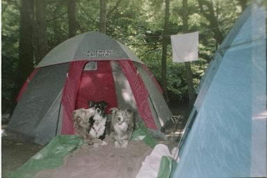 camping fools